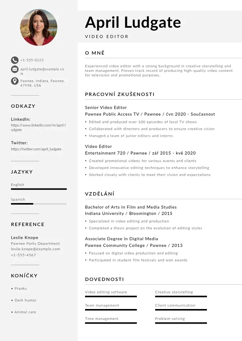 Mūsdienīga Zivotopis editor videa CV veidne