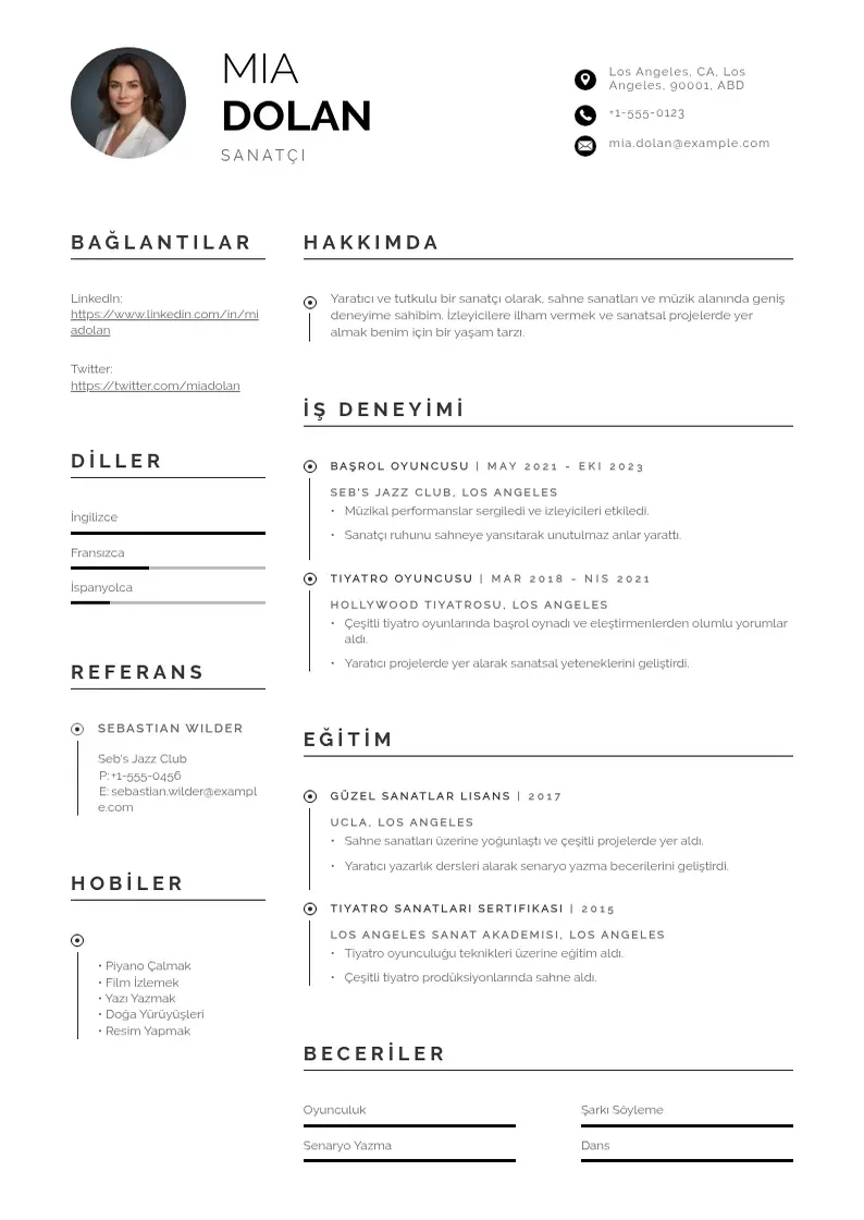 Profesionāla Sanatci CV veidne