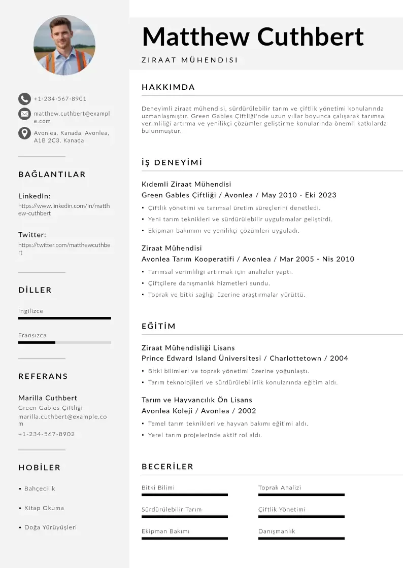 Mūsdienīga Ziraat muhendisi  ornekleri CV veidne