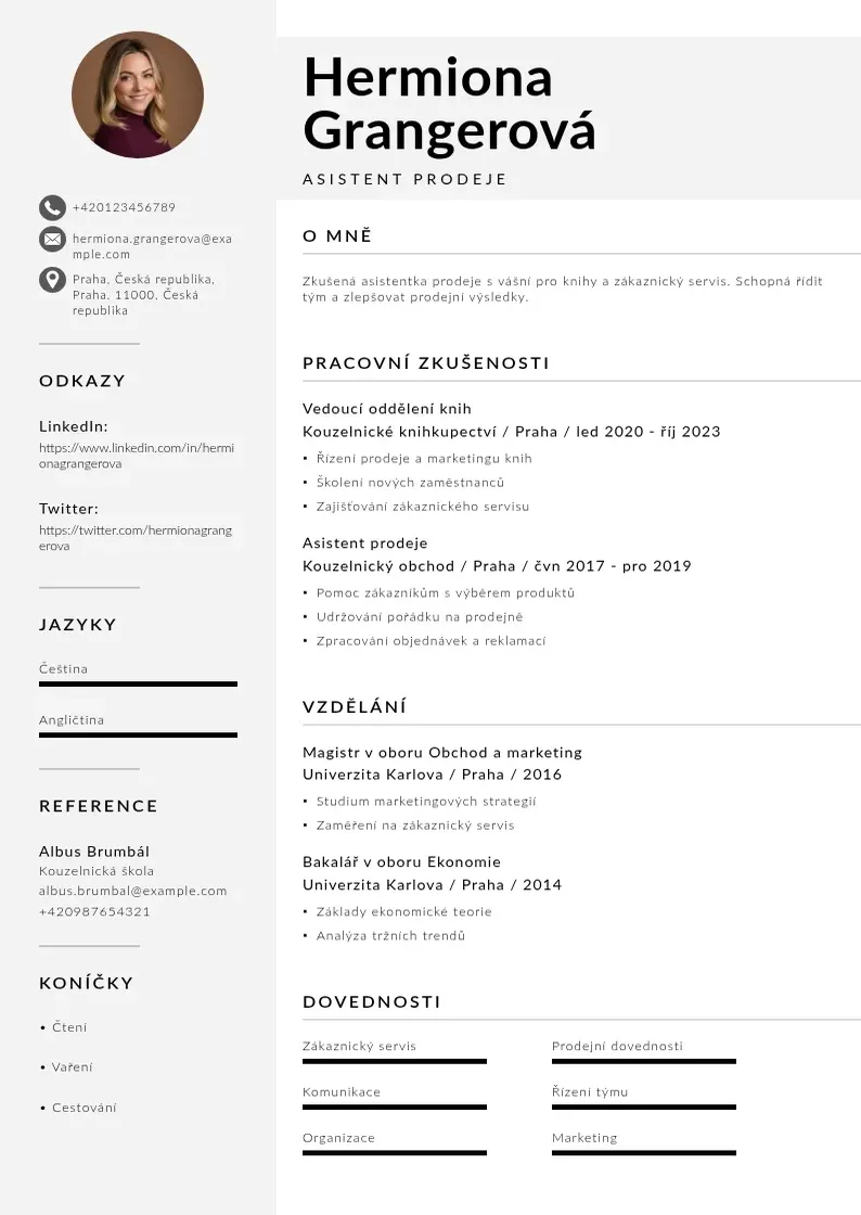 Mūsdienīga Asistent prodeje zivotopis CV veidne
