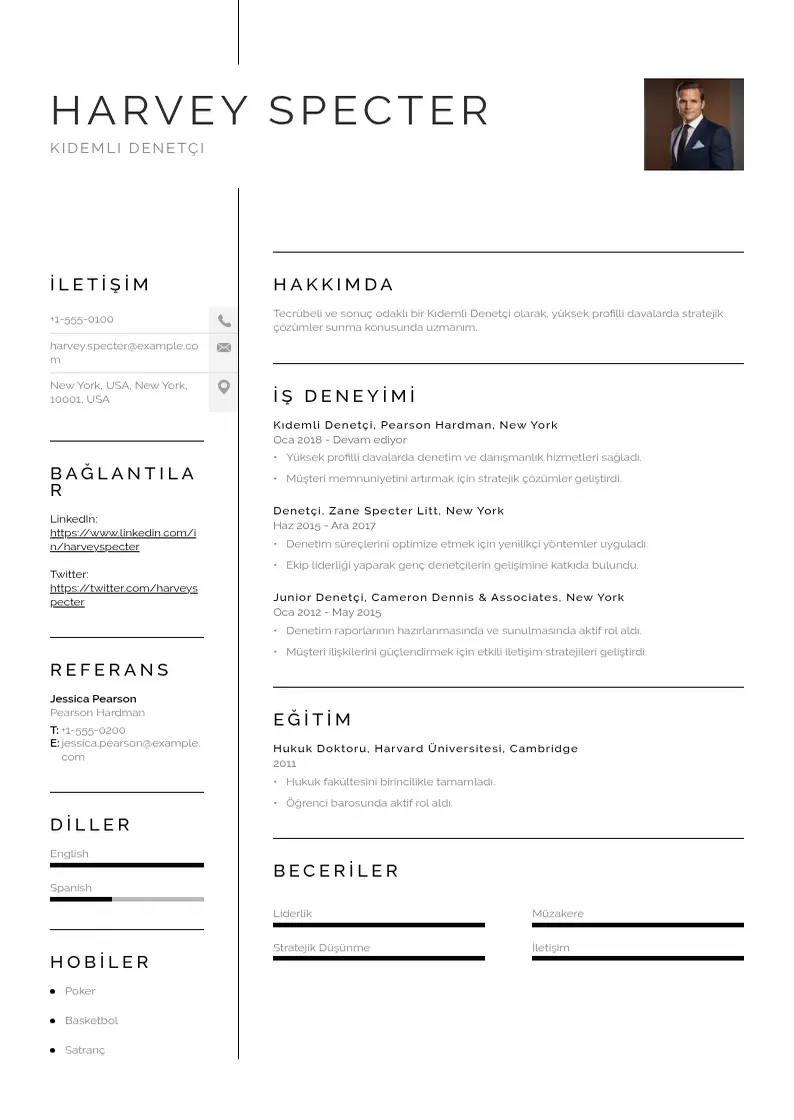 Vienkārša Kıdemli Denetçi  CV piemērs
