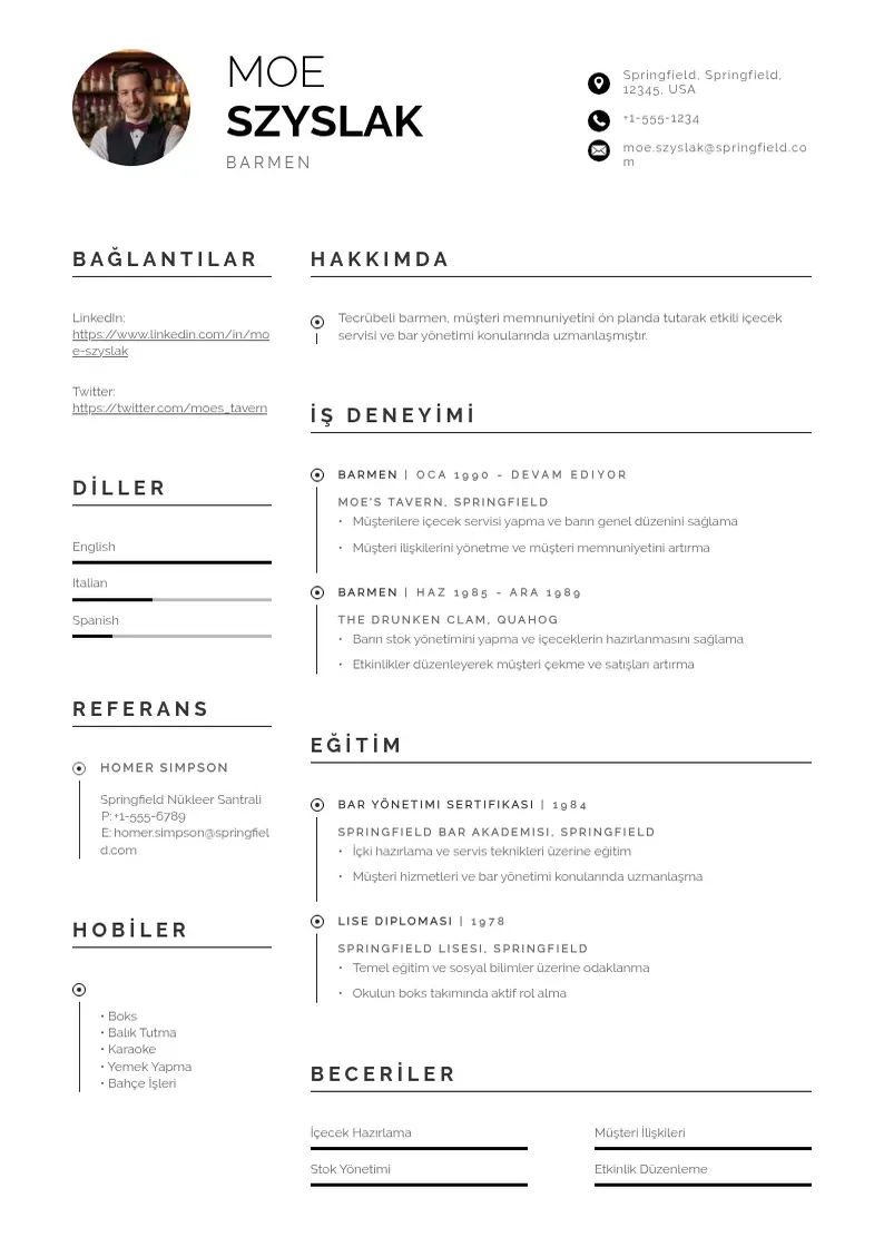 Profesionāla Barmen  CV veidne