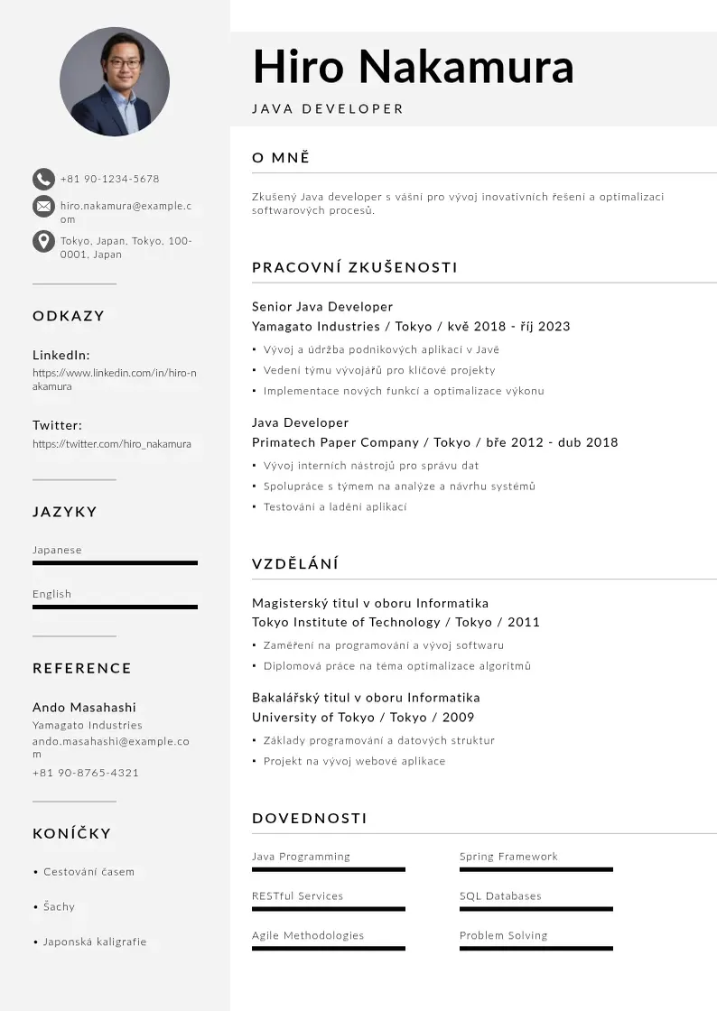 Mūsdienīga Vyvojar java zivotopis CV veidne