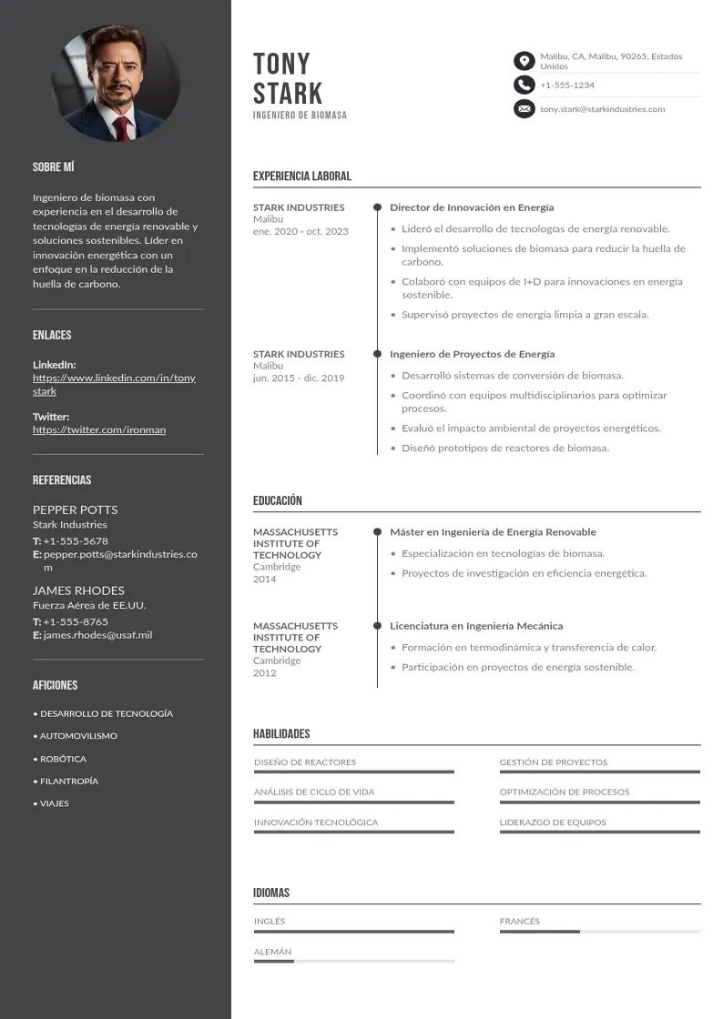 two column ingeniero-de-biomasa resume example
