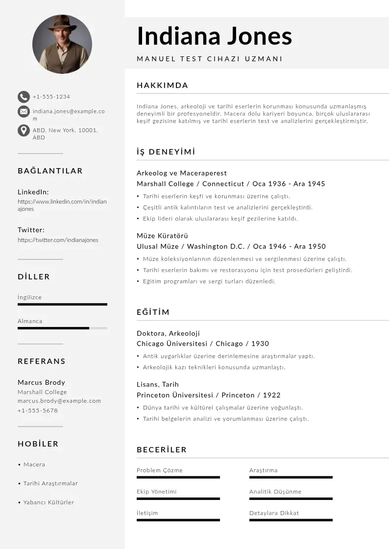 Mūsdienīga Manuel Test Cihazı  CV veidne