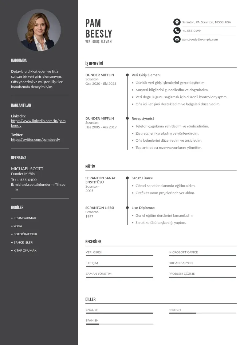 Divu kolonnu Veri giriş elemanı  CV piemērs