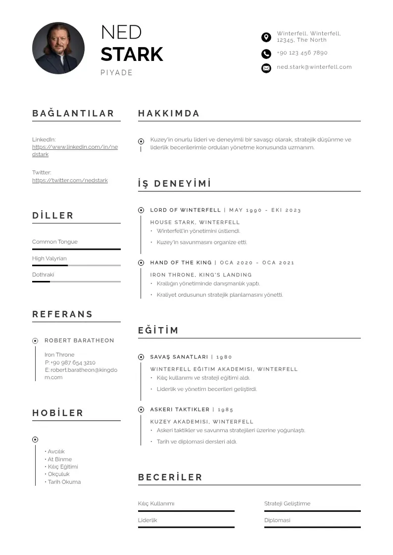 Profesionāla piyade  CV veidne