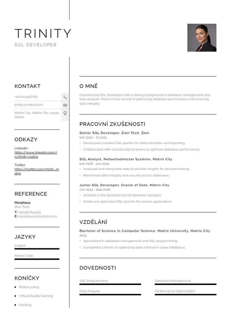 Vienkārša Vyvojar sql zivotopis CV piemērs