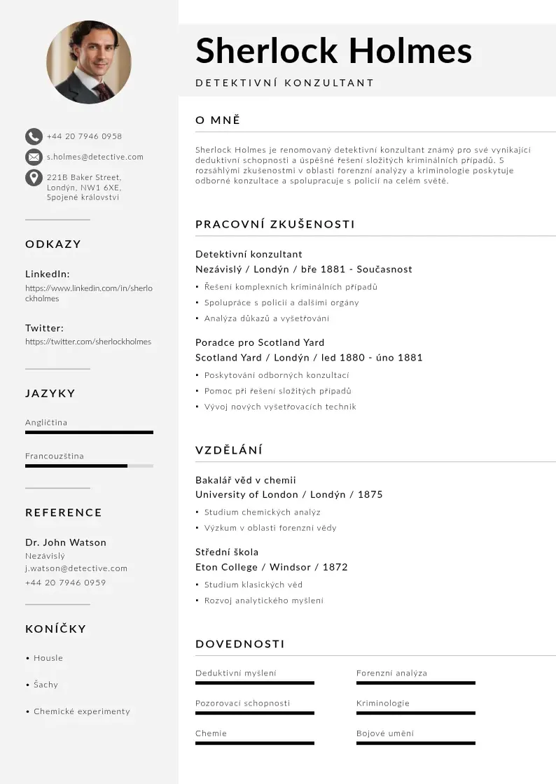 Mūsdienīga Zivotopis v polstine CV veidne