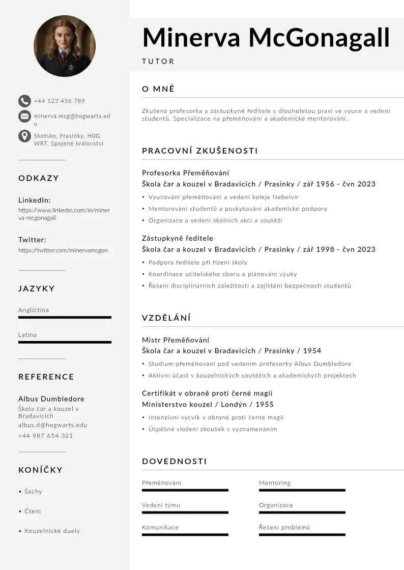 Mūsdienīga Tutor zivotopis CV veidne