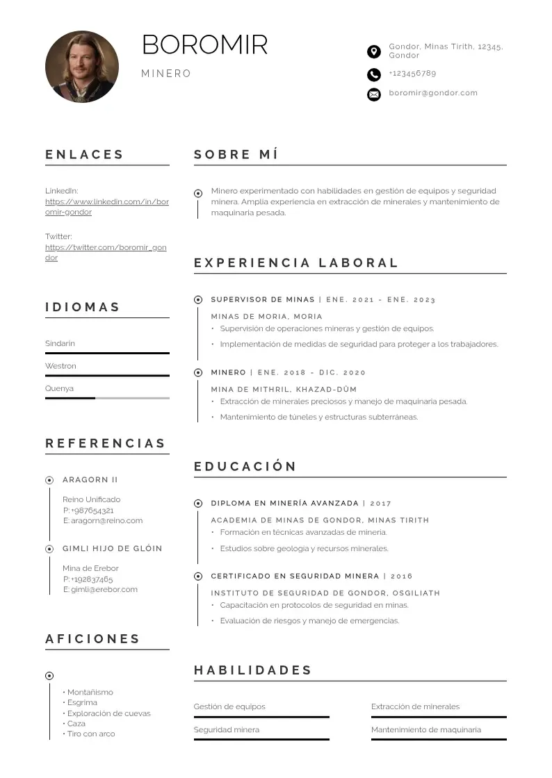 two column curriculum-de-minero resume example