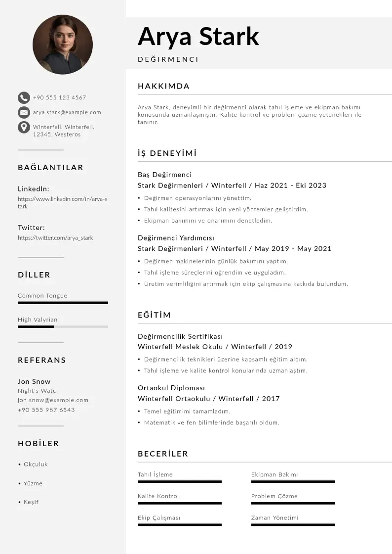 Mūsdienīga Değirmenci  CV veidne