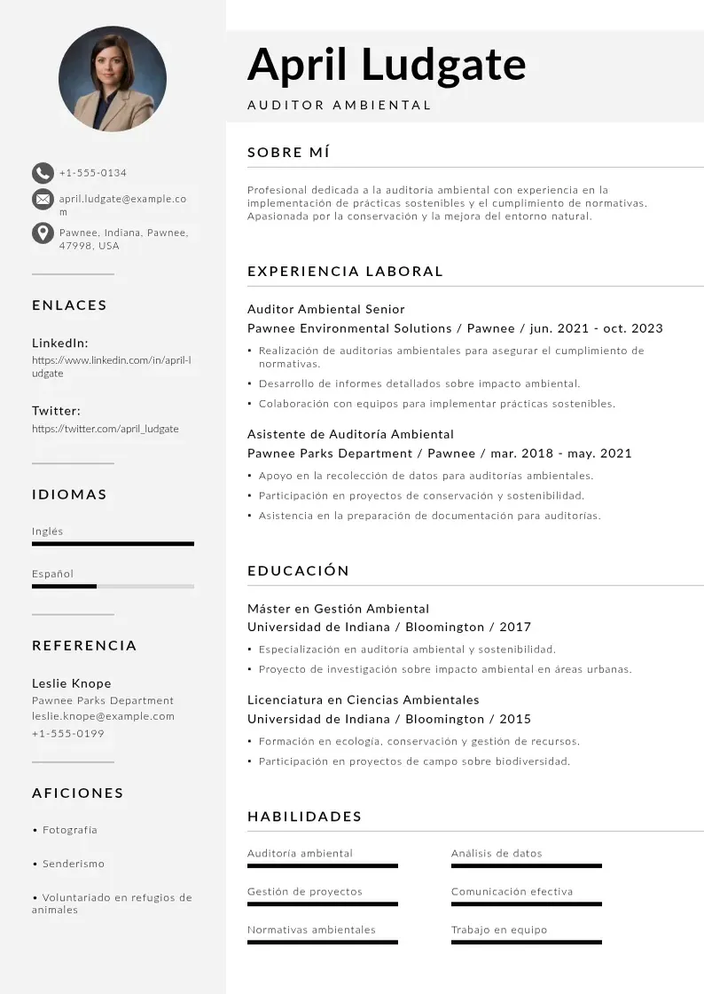 two column auditor-ambiental resume example