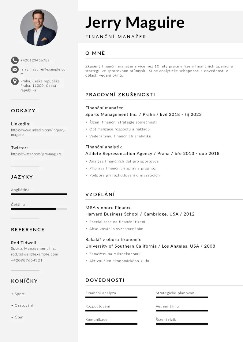 Mūsdienīga Financni manazer zivotopis CV veidne