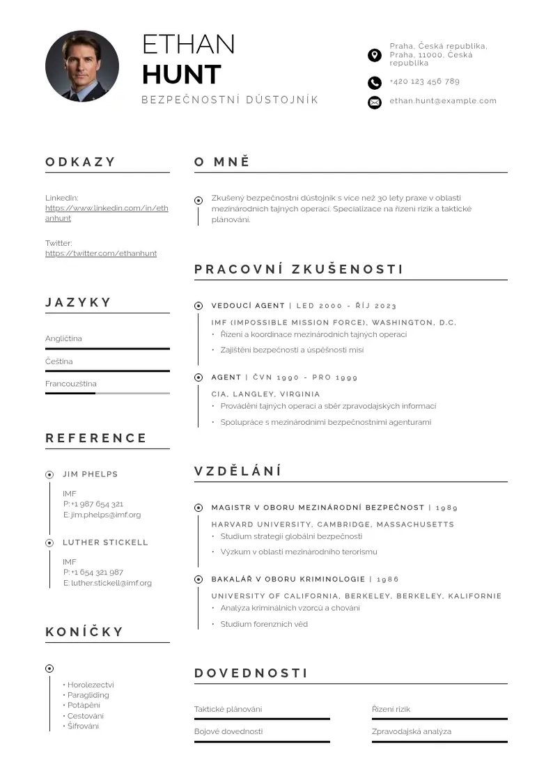 Profesionāla Bezpecnostniho dustojnika zivotopis CV veidne