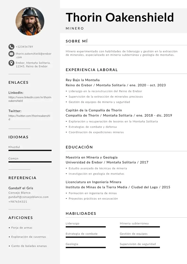 two column curriculum-de-minero resume example