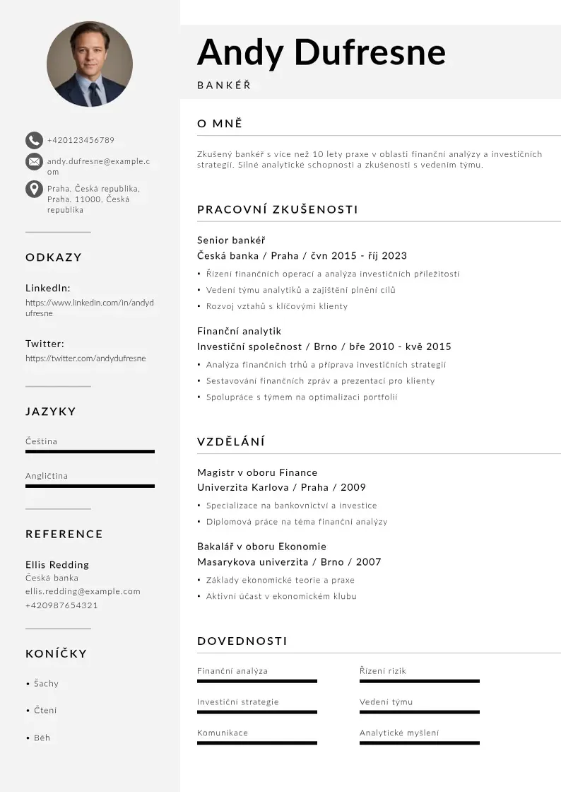 Mūsdienīga Zivotopis banker CV veidne