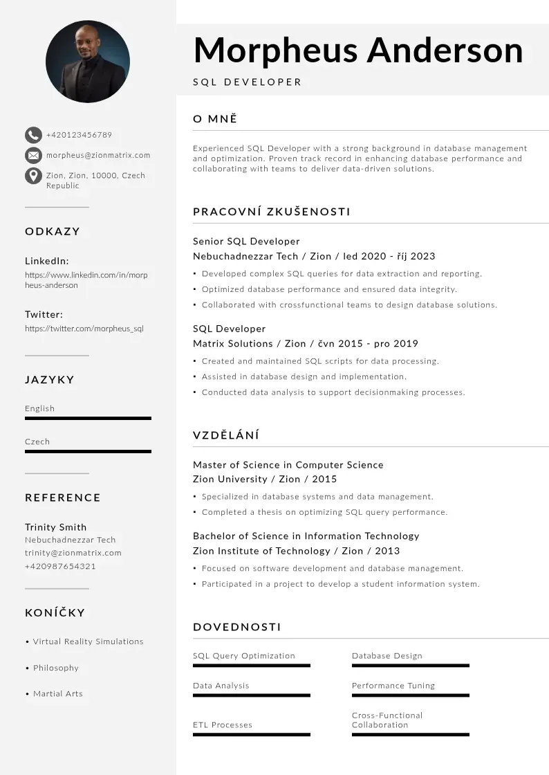 Mūsdienīga Vyvojar sql zivotopis CV veidne