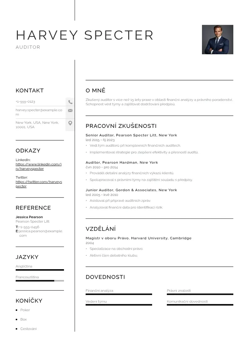 Vienkārša Zivotopis auditora CV piemērs