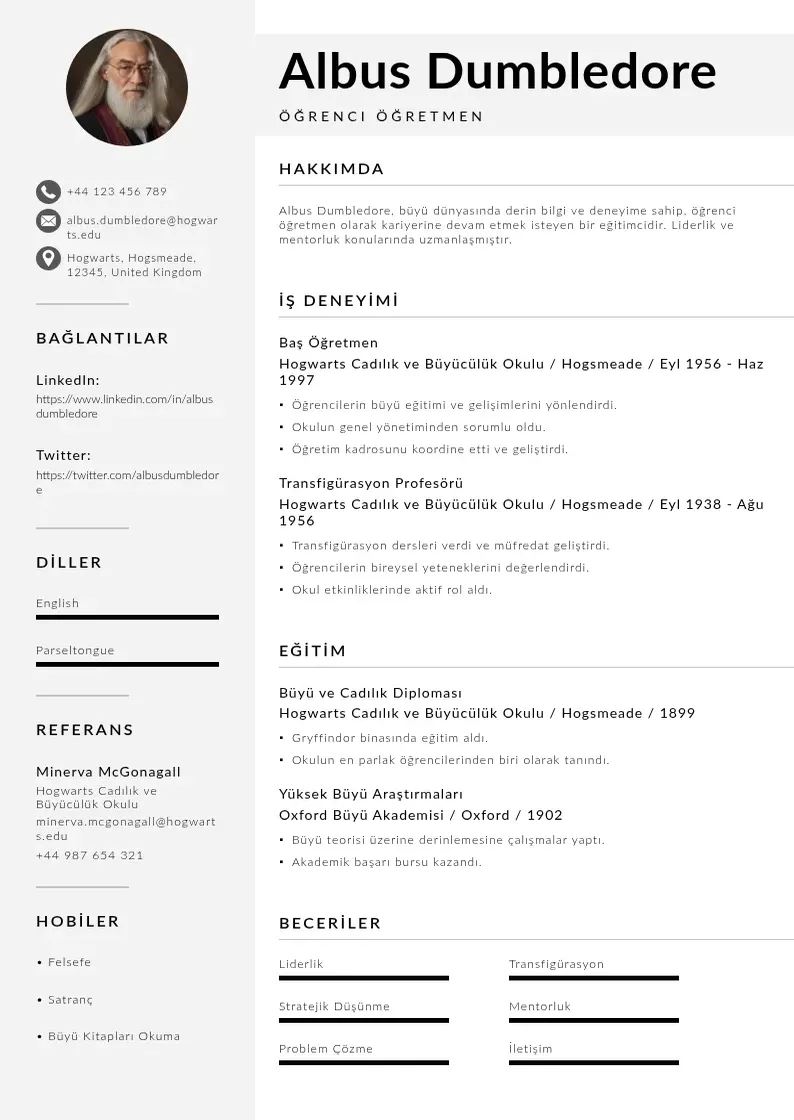 Mūsdienīga Öğrenci öğretmen  CV veidne