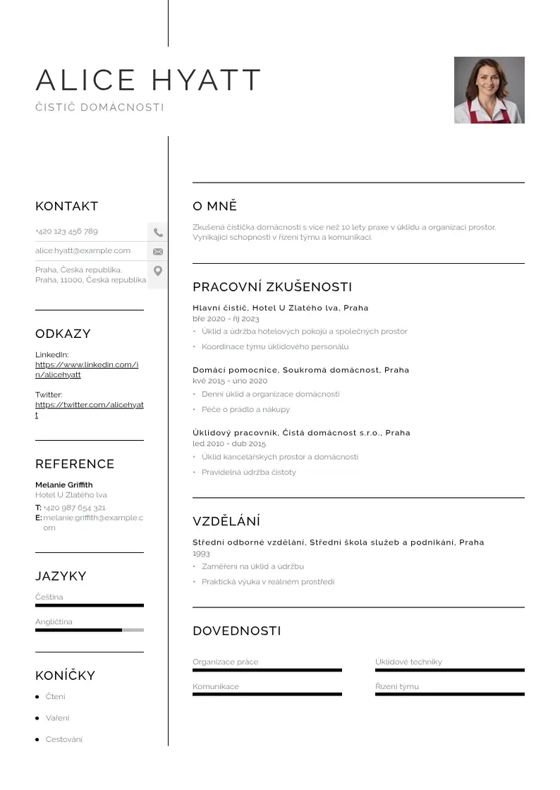 Vienkārša Čistič domácnosti CV piemērs