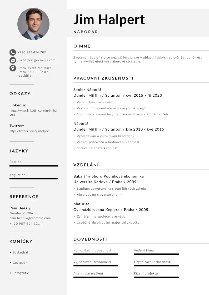 Mūsdienīga naborar CV veidne