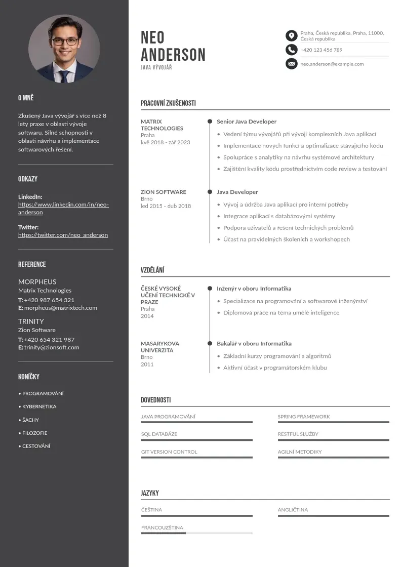 Divu kolonnu Vyvojar java zivotopis CV piemērs