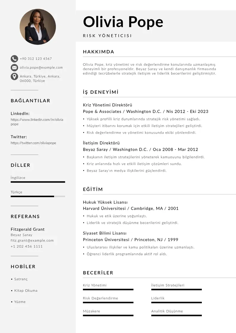 Mūsdienīga Risk Yöneticisi  CV veidne