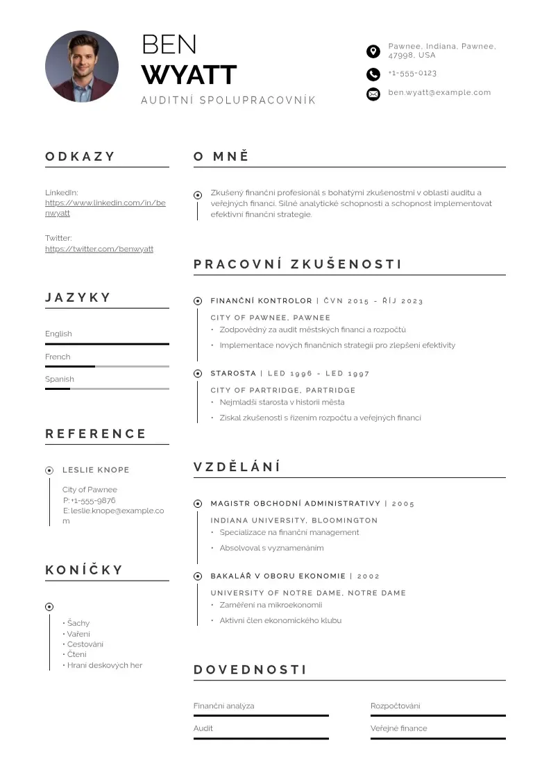 Profesionāla Auditní spolupracovník  CV veidne