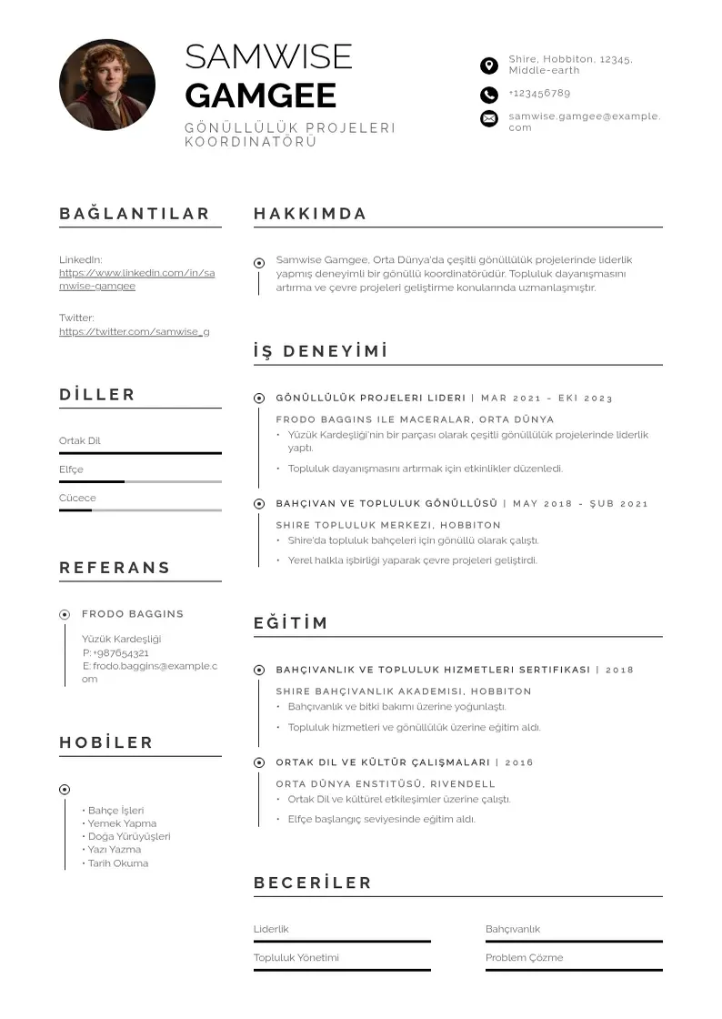 Profesionāla  gonulluluk projeleri /  gonulluluk projeleri CV veidne