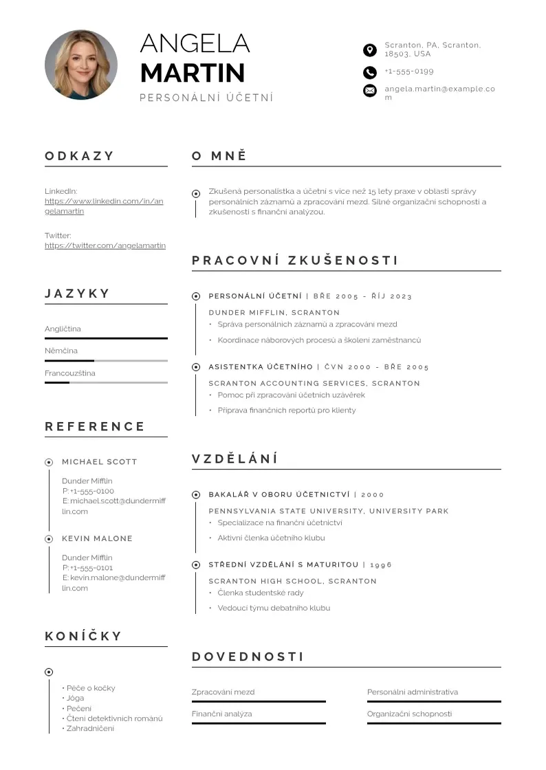 Profesionāla Personalni ucetni zivotopis CV veidne