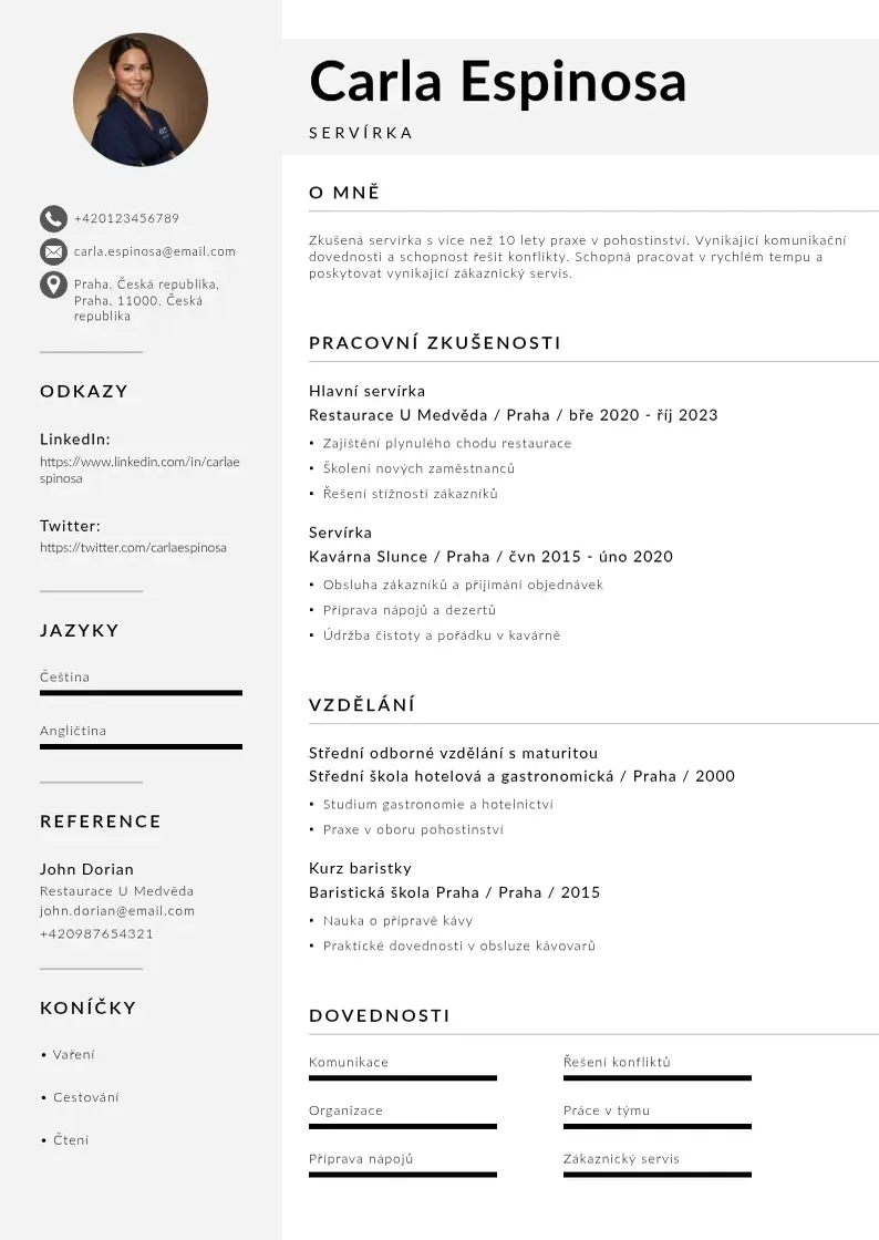 Mūsdienīga Servirka zivotopis CV veidne
