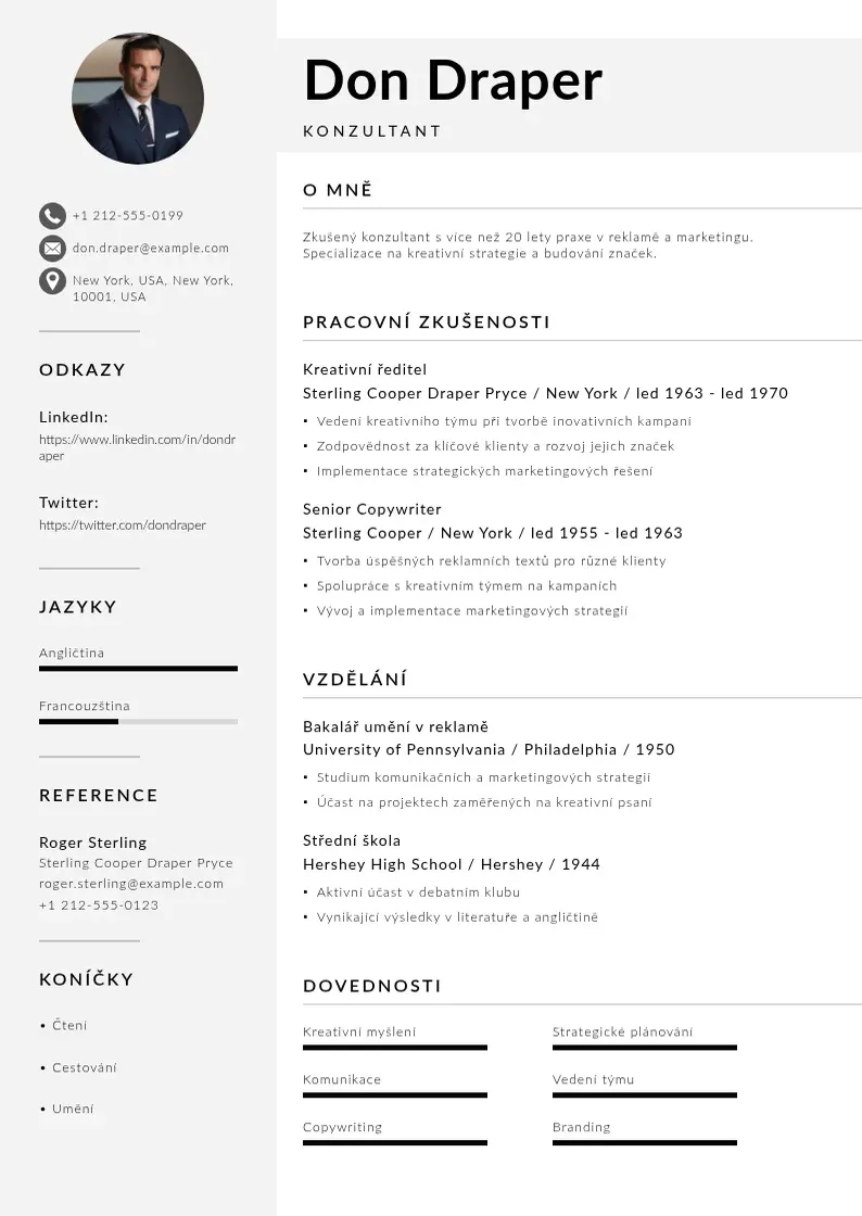 Mūsdienīga Ridici konzultant zivotopis CV veidne