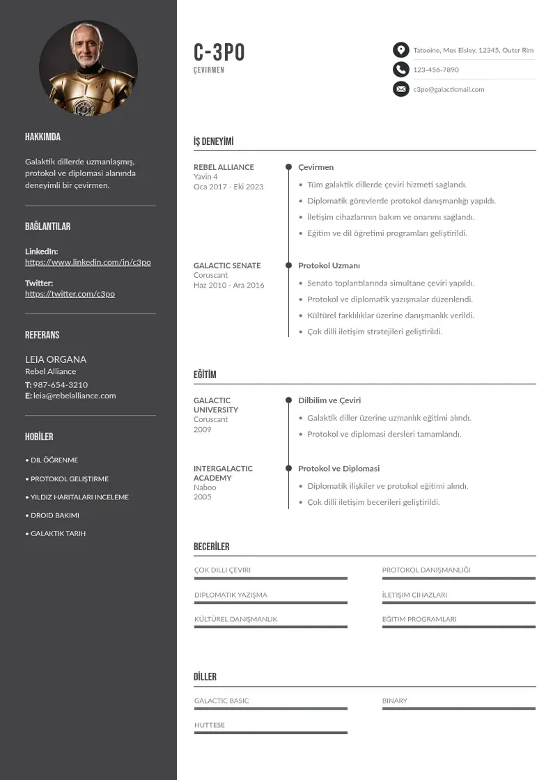 Divu kolonnu Cevirmen CV piemērs