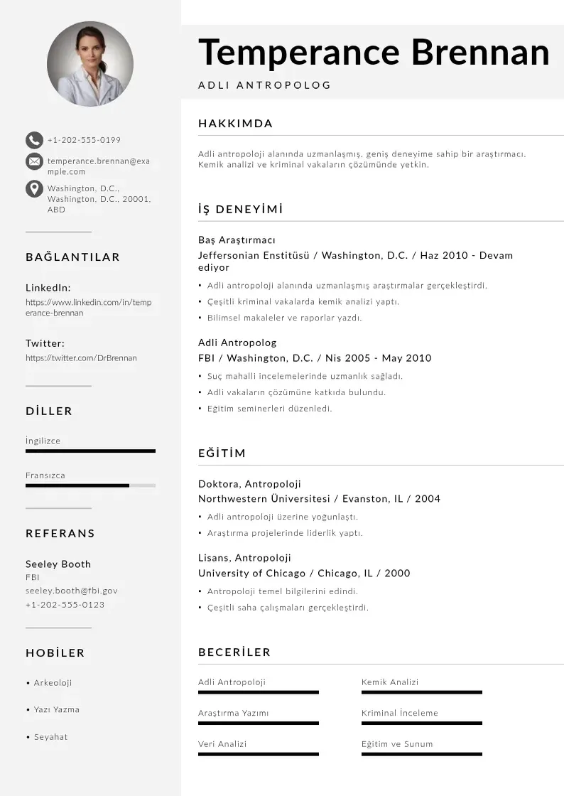Mūsdienīga Araştırmacı  CV veidne