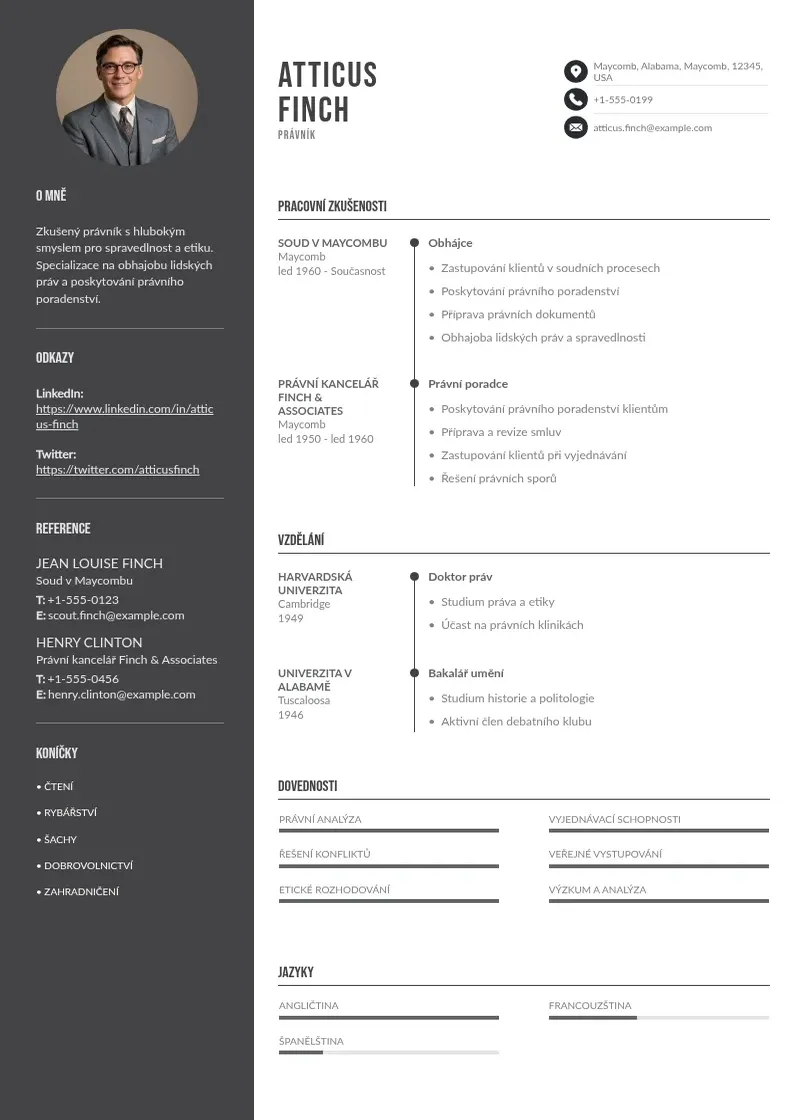 Divu kolonnu Zivotopis v polstine CV piemērs