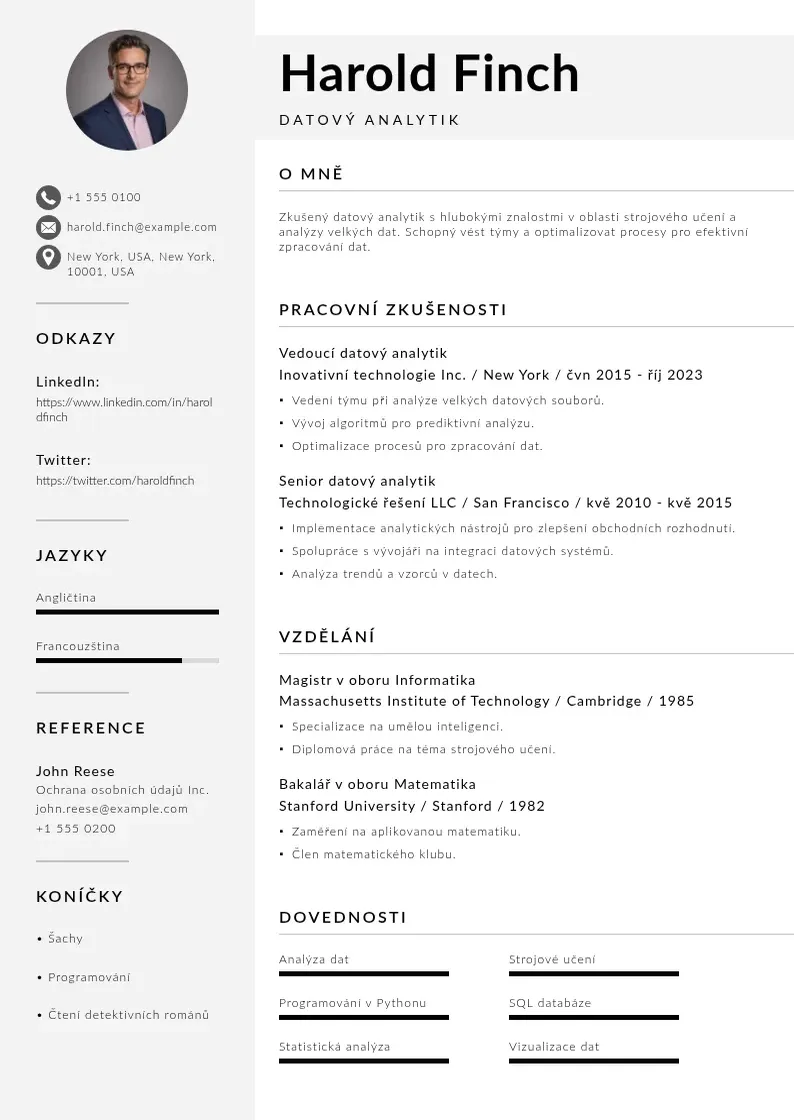Mūsdienīga Datovy analytik zivotopis CV veidne