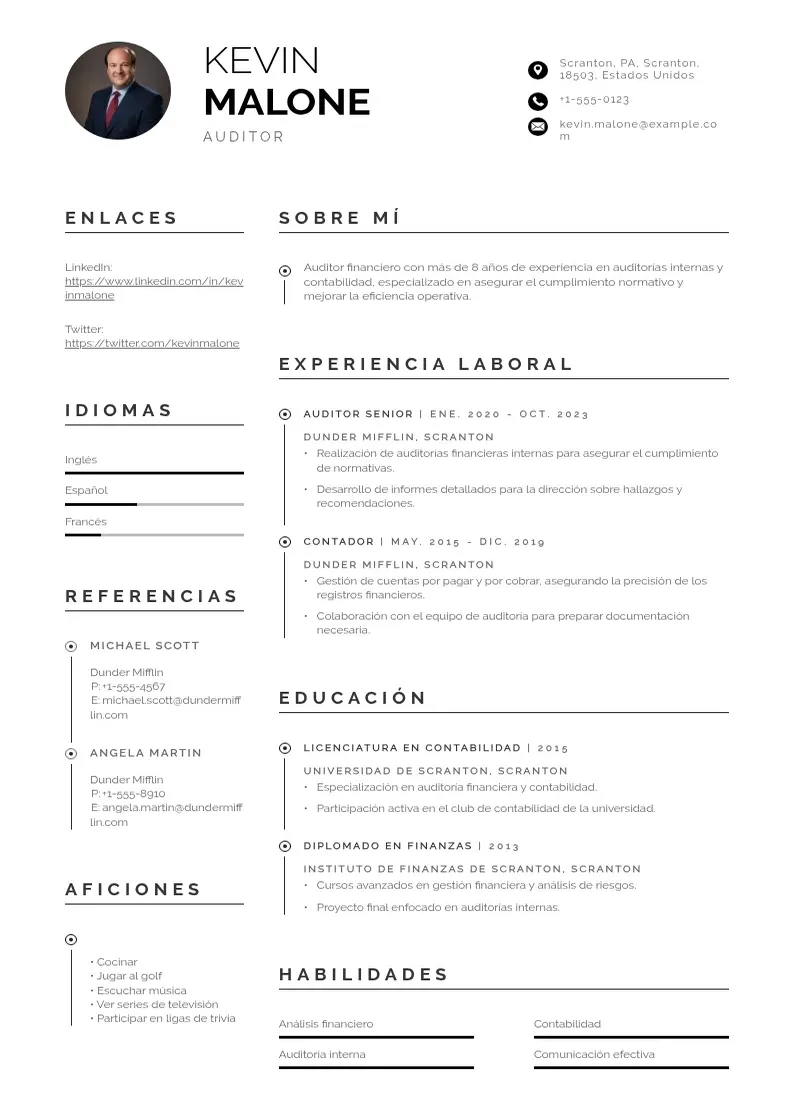 two column cv-auditor resume example