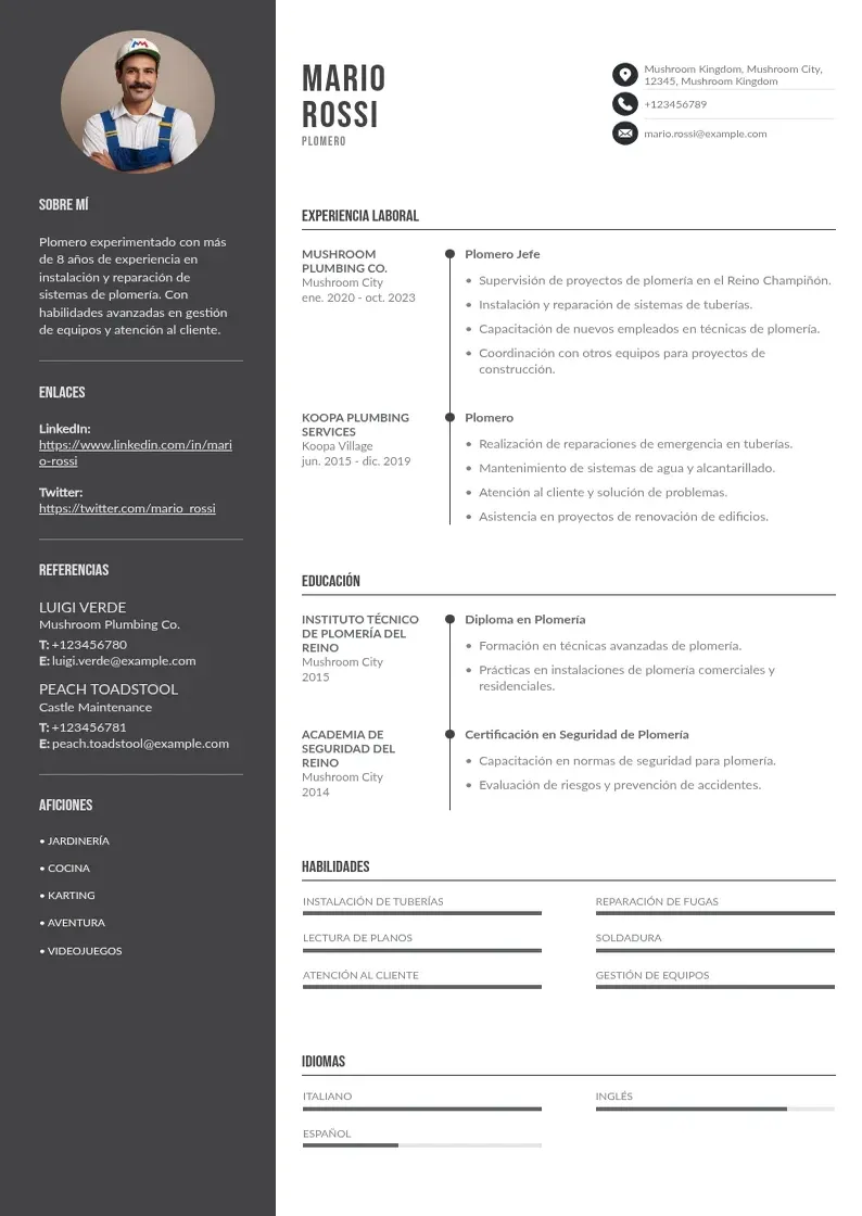 two column cv-plomero resume example
