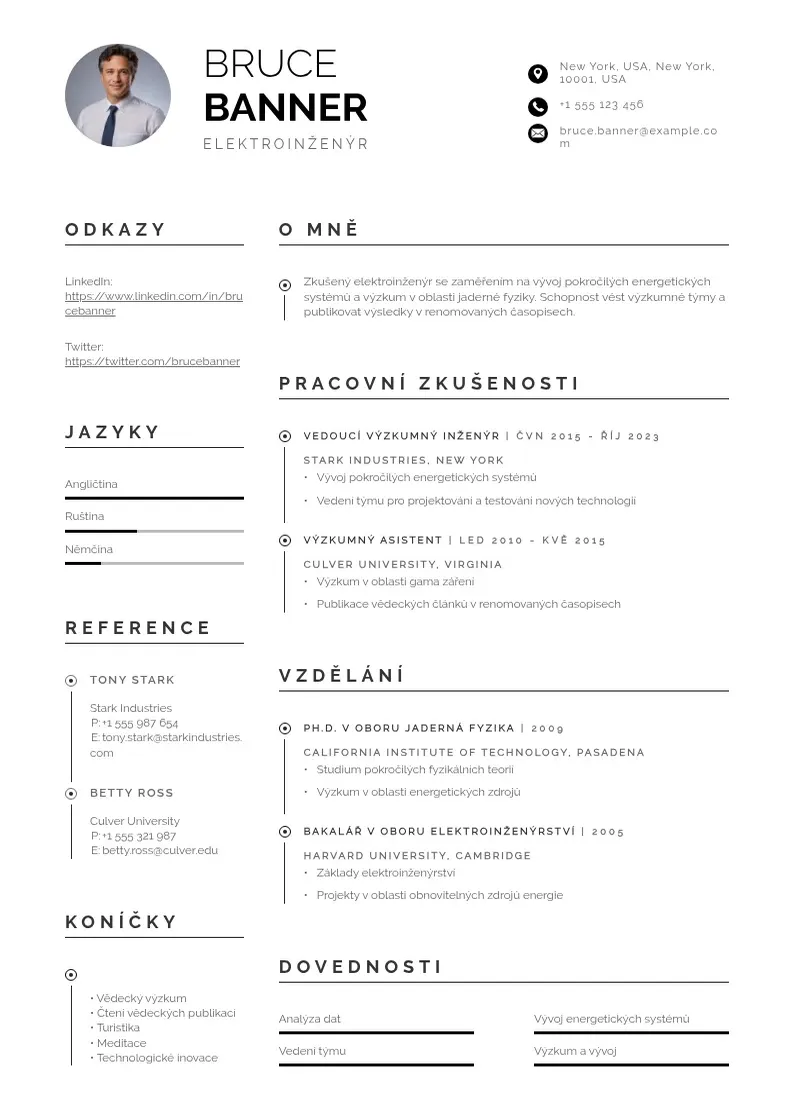 Profesionāla Zivotopis elektroinzenyr CV veidne