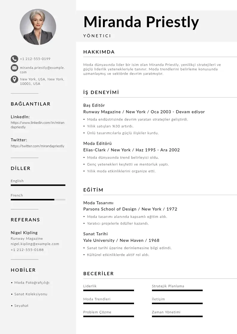 Mūsdienīga Yonetici CV veidne