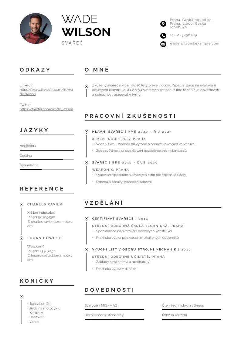 Profesionāla Zivotopis svarece CV veidne