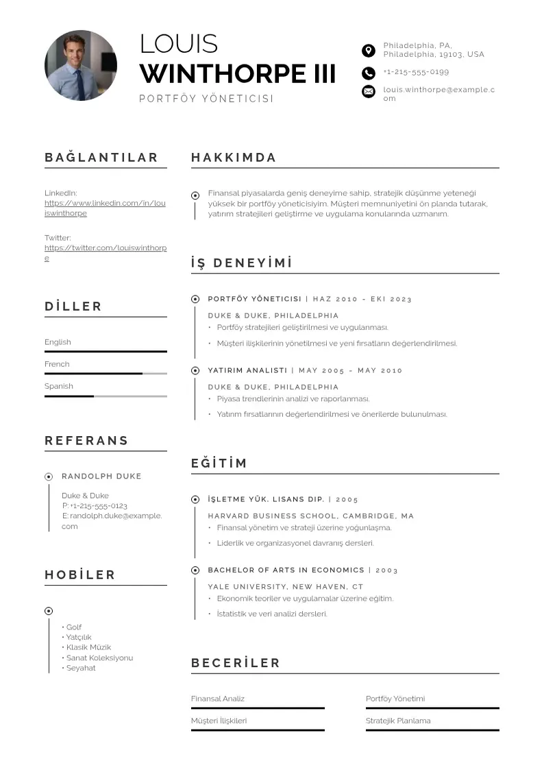 Profesionāla portföy yöneticisi  CV veidne