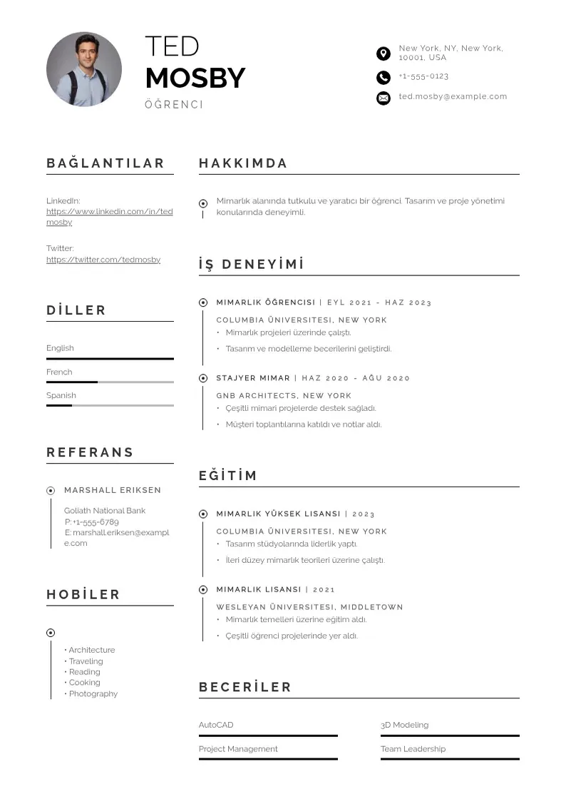 Profesionāla Ogrenci CV veidne
