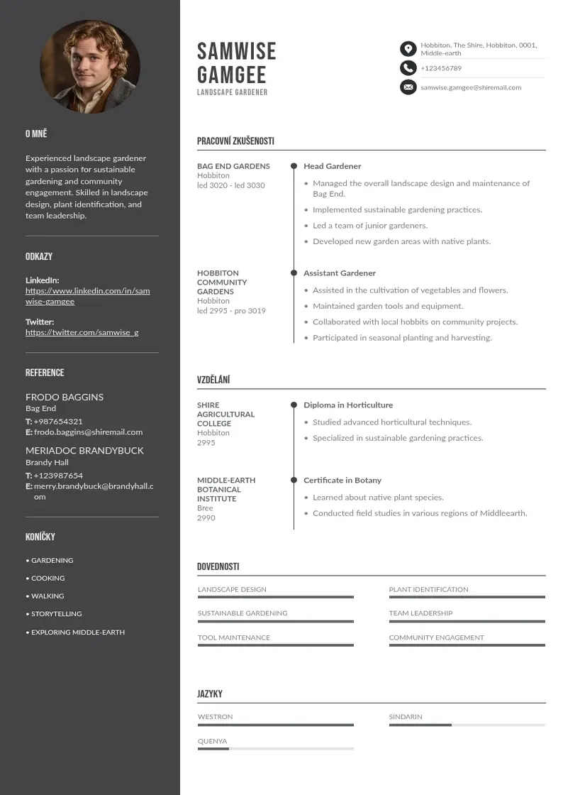 Divu kolonnu Zivotopis krajinare CV piemērs