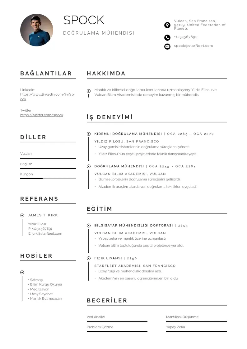 Profesionāla Doğrulama Mühendisi  CV veidne