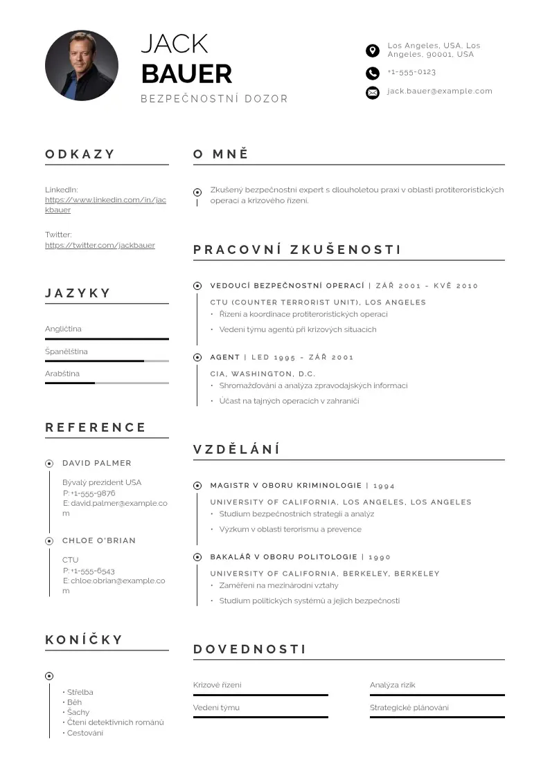 Profesionāla Bezpečnostní dozor CV veidne
