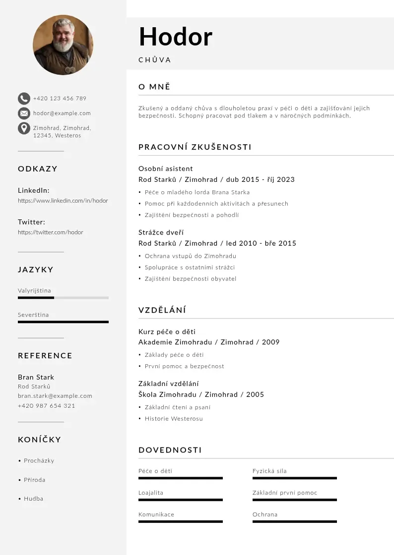 Mūsdienīga Zivotopis chuva CV veidne