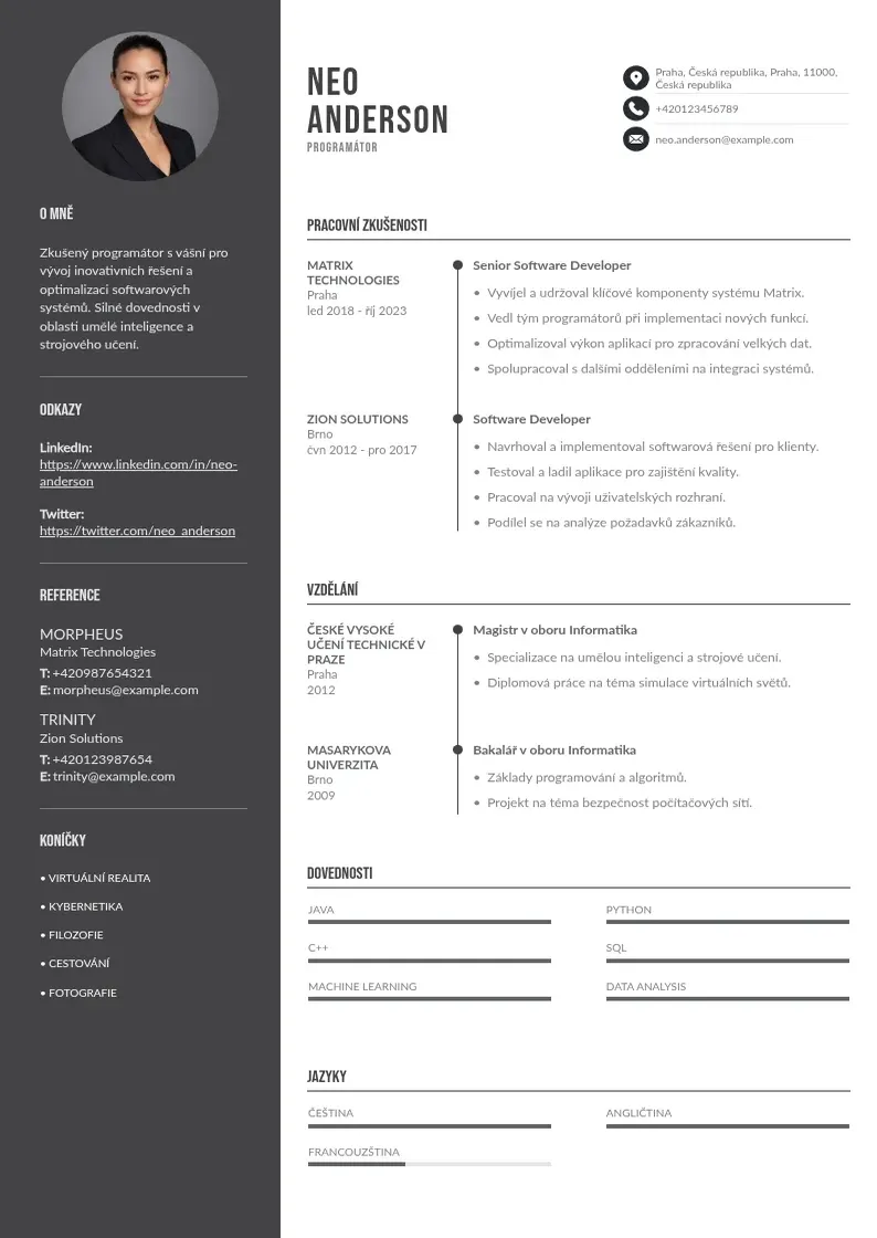 Divu kolonnu Zivotopis programator CV piemērs