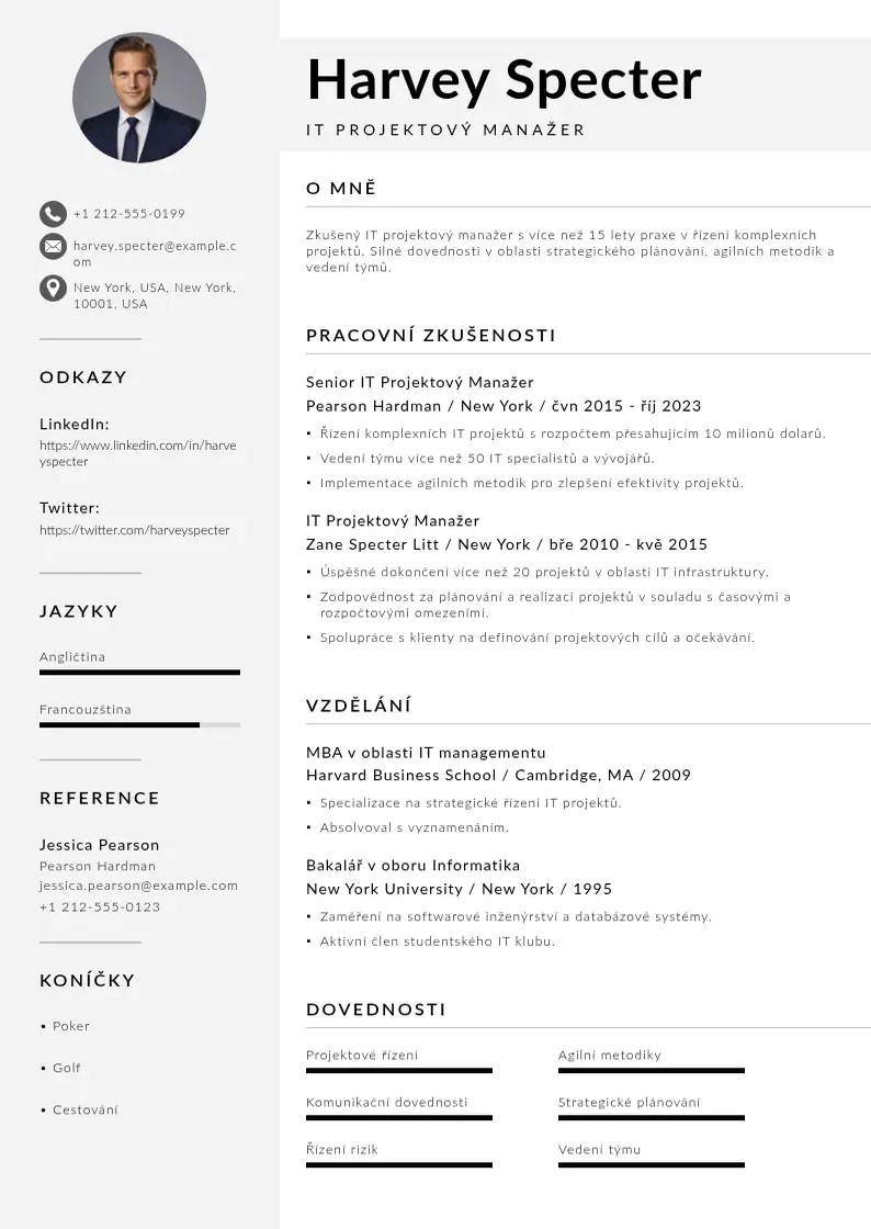 Mūsdienīga Zivotopis it projektoveho manazera CV veidne